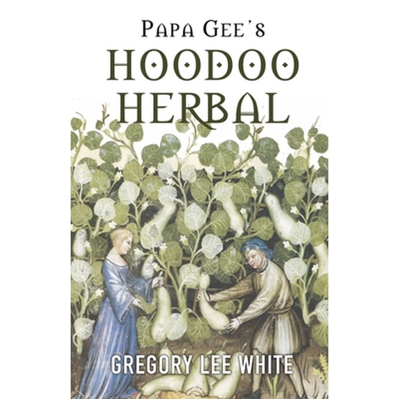 Pre-Owned Papa Gee's Hoodoo Herbal: The Magic of Herbs, Roots, and Minerals in the Hoodoo Tradition (Paperback) 0578795043 9780578795041