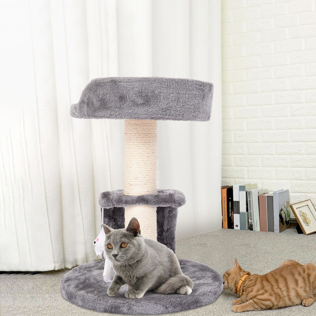 cat tree europe