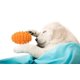 thumbnail image 5 of Juguete indestructible para perros, juguete chirriante de caucho natural no tóxico, cepillo de dientes resistente para perros: divertido para masticar, perseguir y buscar., 5 of 5