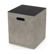 Noble House Aido Tank Holder Side Table in Light Gray and Black