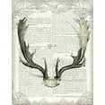 thumbnail image 2 of Schlabach, Sue 12x14 White Modern Wood Framed Museum Art Print Titled - Regal Antlers on Newsprint II, 2 of 4