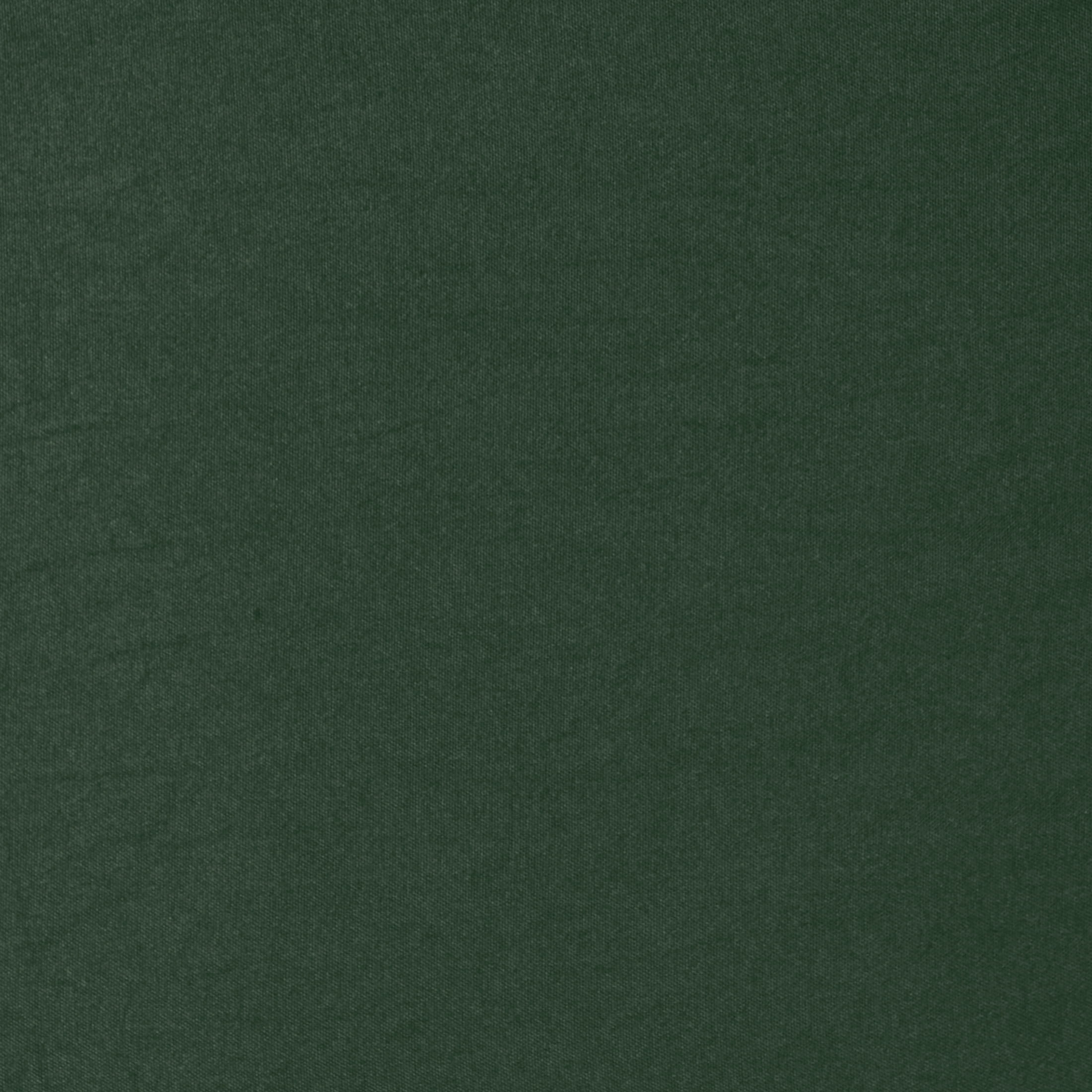 Pawz Pine Green Full Sheet Set, Soft Microfiber Bed Sheets with 2 Pillowcases, for Adults and Teens