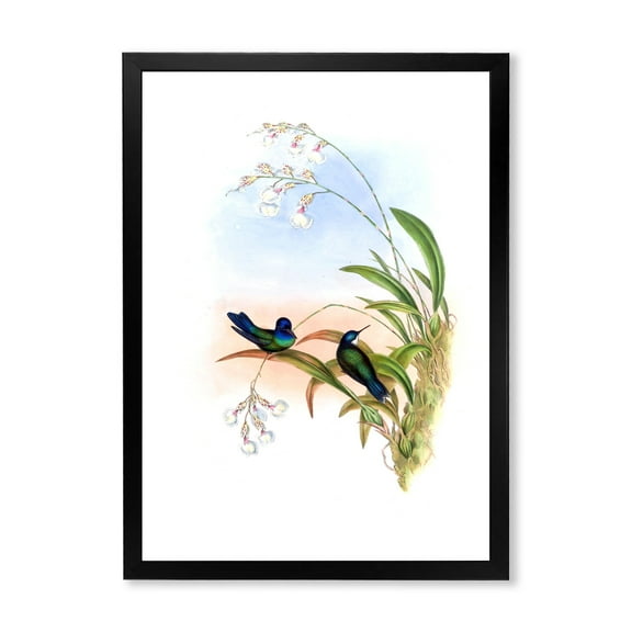 Designart 'Ancient Hummingbird III' Traditional Framed Art Print