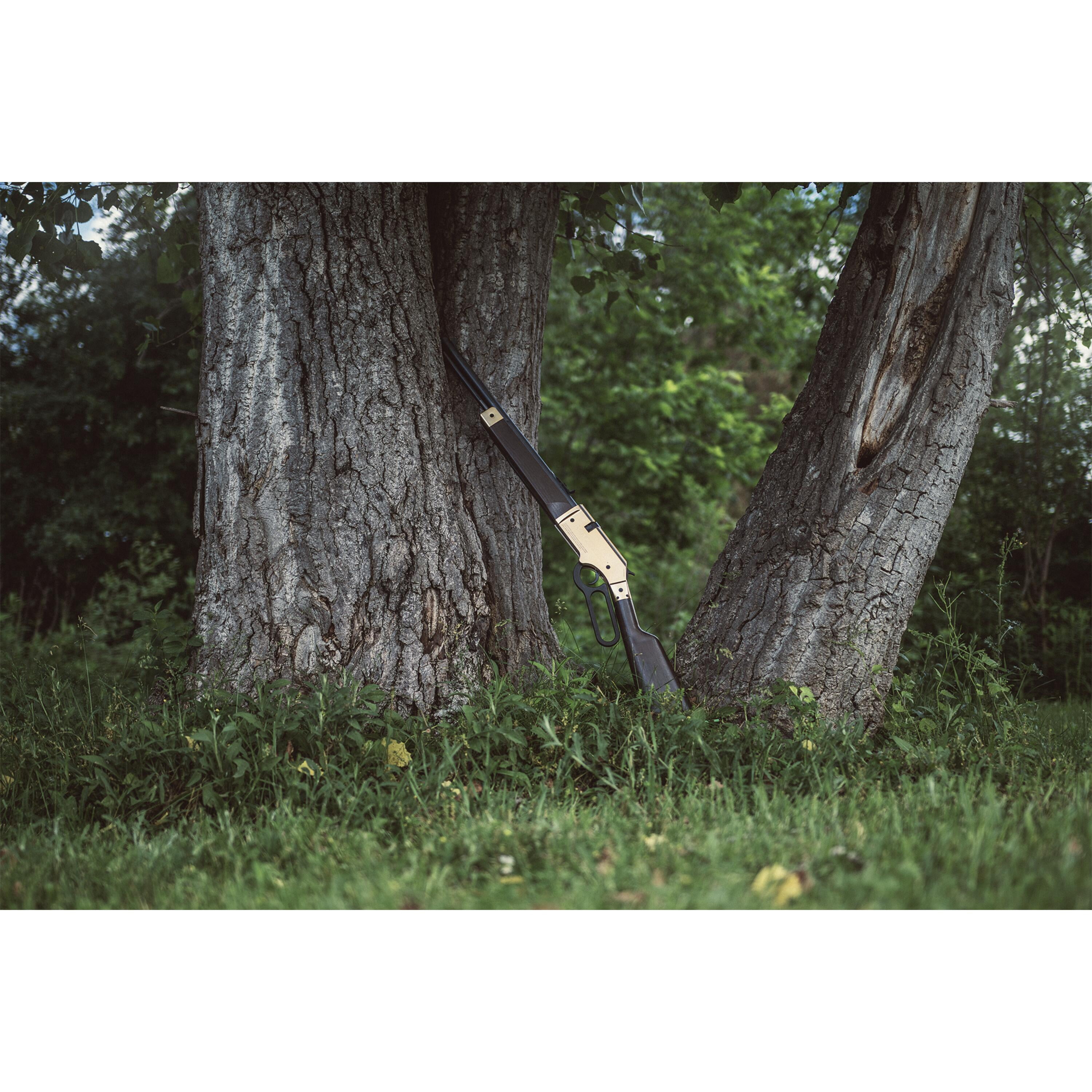 Daisy Winchester 1866 Lever Air Rifle, W1866
