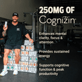 thumbnail image 2 of BUM Energy Soda Pack Variety, Zero Sugar Energy Drink, 112mg Caffeine, Crash Free Focus, 12 fl oz Cans, 12 Pack, 2 of 13