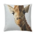 thumbnail image 2 of Ahgly Company Animals Girraffe Outdoor Throw Pillow, 18 inch by 18 inch, 2 of 6