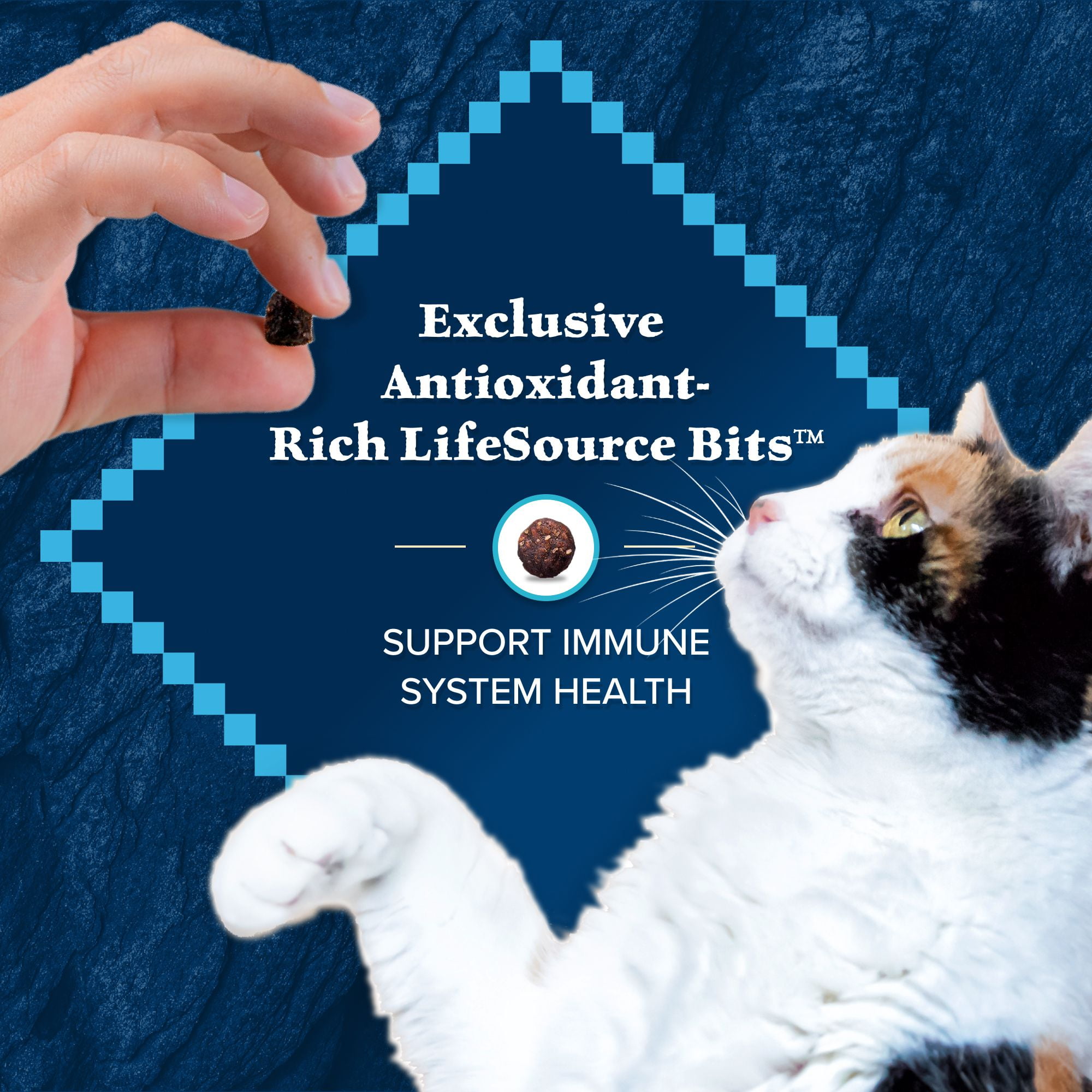 Blue wilderness weight control cheap cat food