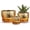 Gold, variant on Pink Gold Ceramic Flower Pots, 4"+5"+6" Inch Small Glazed Succulent Planters with Drainage Hole,Modern Indoor Decorative Plant Pots Set of 3,Garden Pots with Saucer