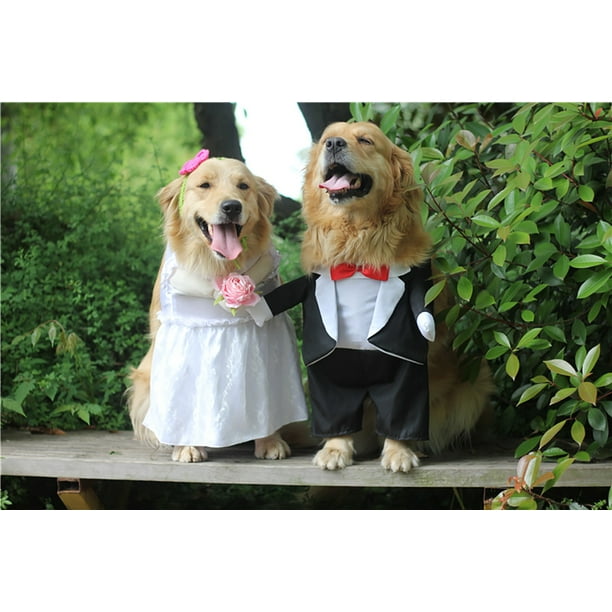 Dog 2025 bride costume