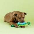 thumbnail image 4 of PetShop by Fringe Studio Shello There Plush Turtle Dog Toy with Moveable Rope, Small, 4 of 4
