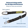 thumbnail image 3 of Cinturón de seguridad para perros PetSafe, cinturón de seguridad ajustable, 3 of 6