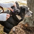 thumbnail image 6 of Pet Life ® Classic Metallic Fashion 3M Insulated Dog Coat Parka w/ Removable Hood, 6 of 8