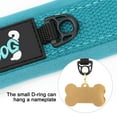 thumbnail image 2 of Didog Reflective Nylon Dog Collar Personalized Name Buckle Soft Padded Adjustable S-XL, 2 of 11