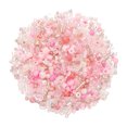 thumbnail image 1 of Uxcell 1000-Pack Mezcla de Cuentas de Semilla de Vidrio, 1-4mm/0.04-0.16 Pulgadas Mini Cuentas de Bugle de Vidrio para DIY Aretes/ Collares/Pulseras/ Fabricación de Joyería [Rosa], 1 of 6