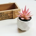 thumbnail image 2 of Easy to Maintain Artificial Potted White Ceramic Potted Mini Modern Decoration Artificial Succulent Potted for Home, 2 of 8