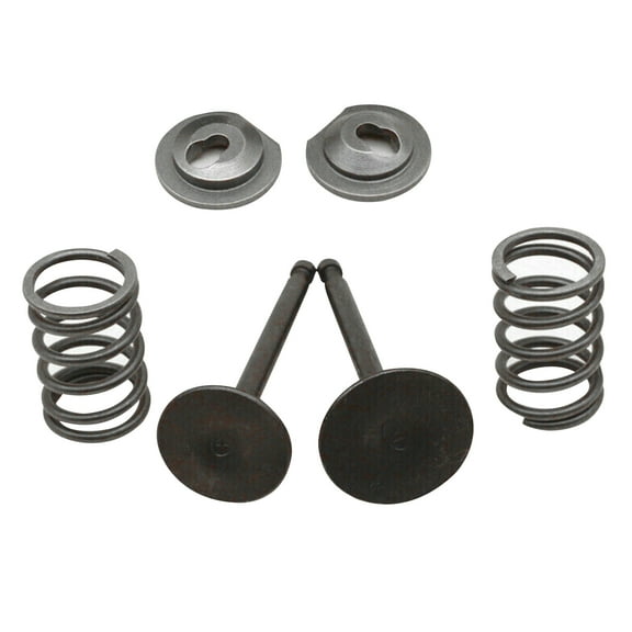 1 Set Valve Springs Parts for Honda GX160 GX200 168F 170F 5.5-6.5HP Gasoline Engine