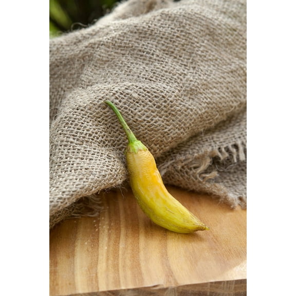 White Wax Heirloom Pepper Premium Seeds