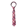 thumbnail image 3 of Spring Notion Cravate à Carreaux Tartan pour Garçon Rouge Moyen, 3 of 4