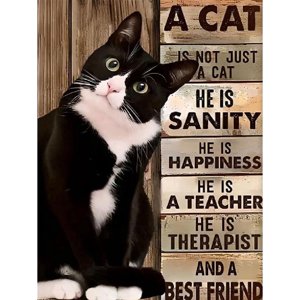 BYGFHLYW Diamond Painting Kit, Tuxedo Cat Quote