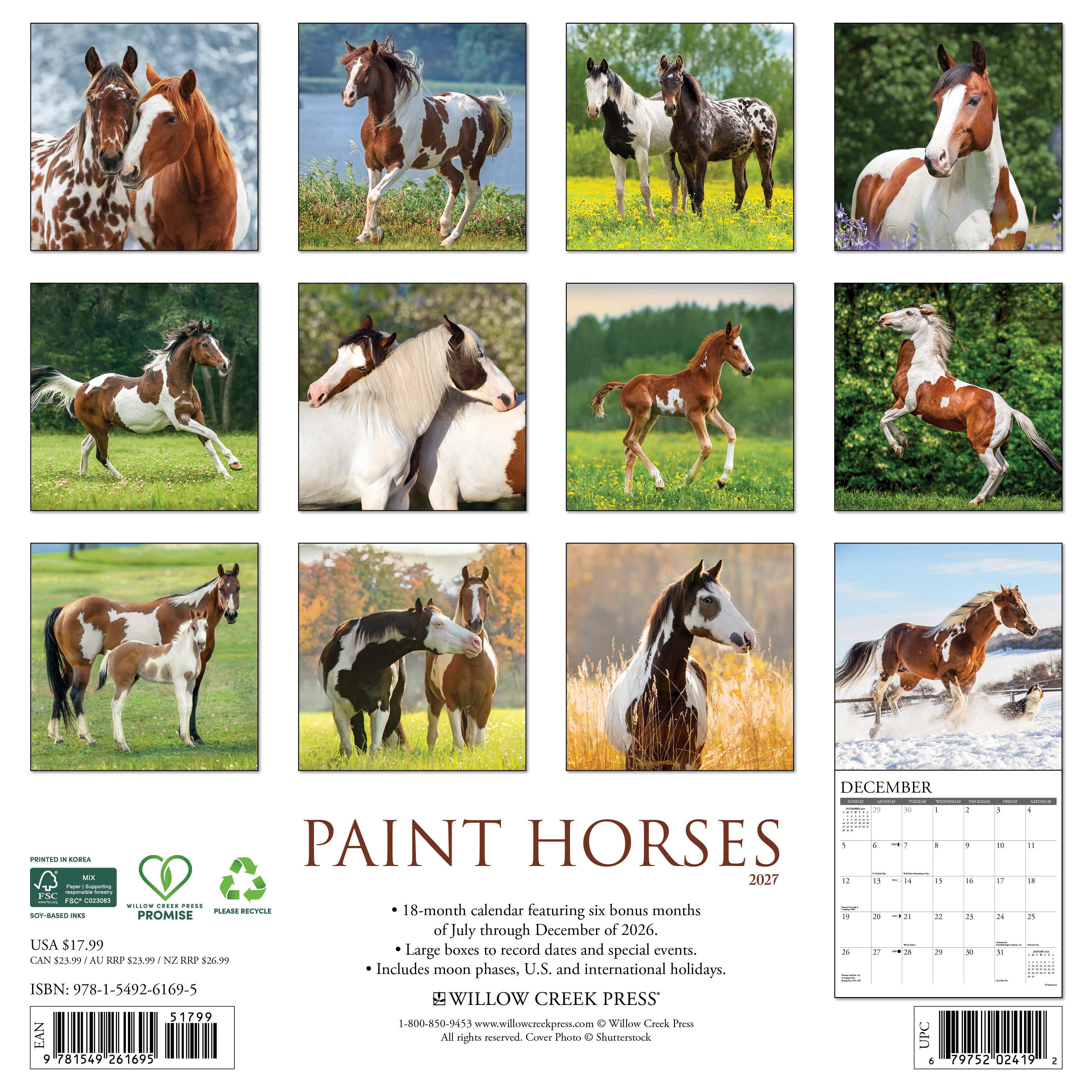 Willow Creek Press, Paint Horses 2027 Wall Calendar