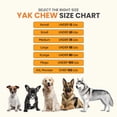 thumbnail image 4 of Safe Dog Chew Authentic Himalayan Cheese Chew treats for Dogs, XLarge, 3 Chew Packet, 4 of 9