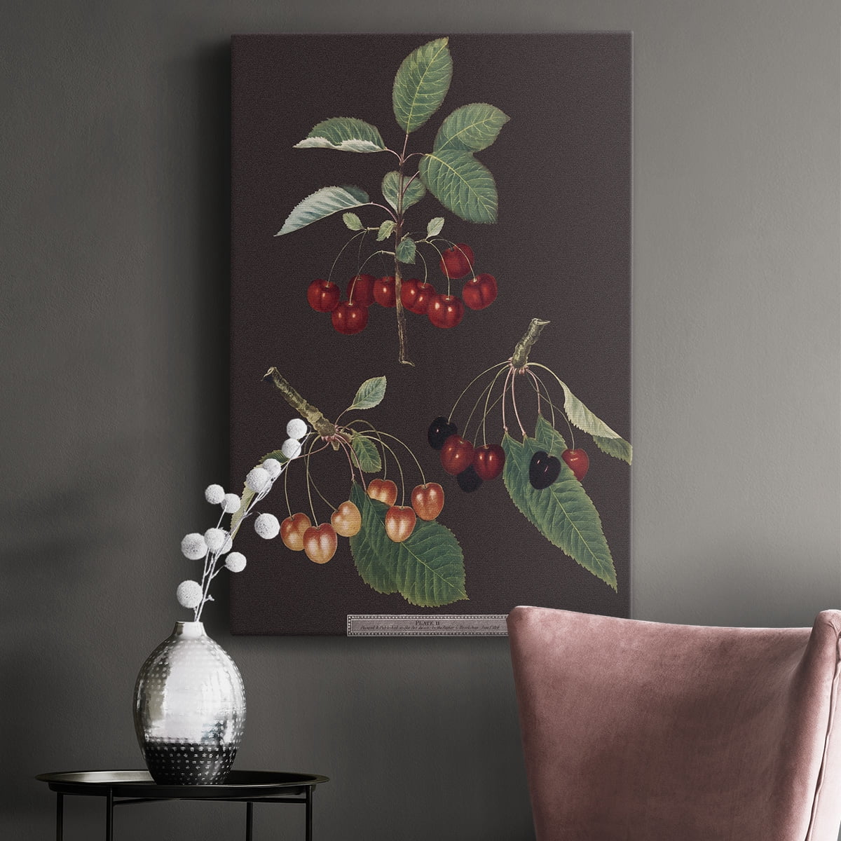 Brookshaw Cherries Premium Gallery Wrapped Canvas - Ready to Hang