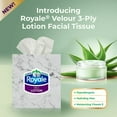thumbnail image 3 of Royale Velour Lotion Facial Tissue Aloe & Vitamin E, 6 Tissue Boxes , 1 Cube Box, 54 Tissues per box, 3-Ply, 3 of 7