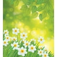 thumbnail image 3 of Daffodil Duvet Cover Set, Daffodils Under Vibrant Tree Branch Leaves Spring Petals Seasonal Foliage Theme, Decorative 3 Piece Bedding Set with 2 Pillow Shams, King Size, Green Yellow, by Ambesonne, 3 of 3