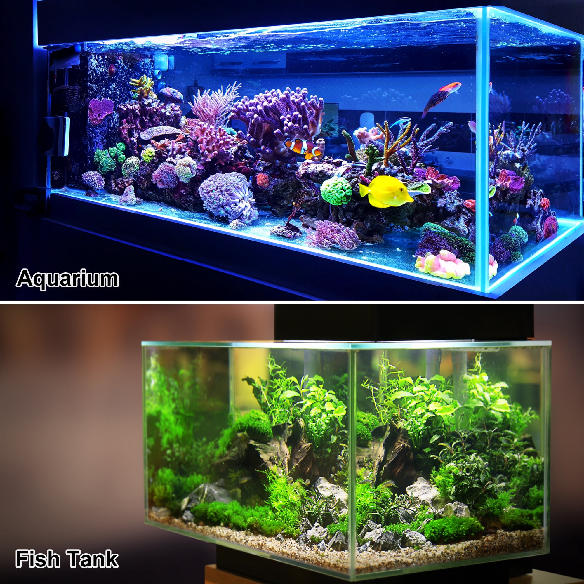 Unique Bargains 2 Pcs Aquarium Plants Decorations Artificial Aquatic Plant Purple 3.94"