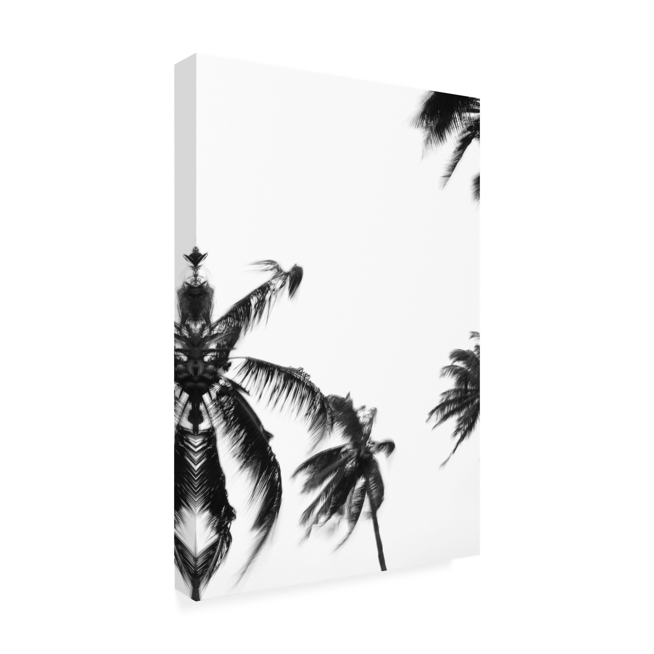 Trademark Fine Art Shot by Clint Coco Island No4 Canvas Wall Art