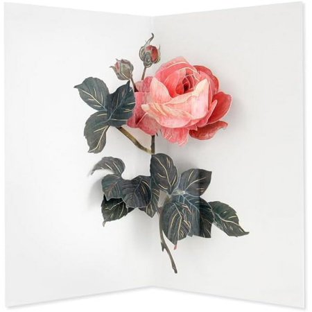 Hiromi Takeda Pink Rose Pop-Up Greeting Card with Envelope- For Anyone, Congrats, Thank You, Just Because, All Ocassion, Thinking of You (Blank)