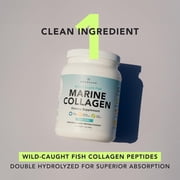 Amandean Marine Collagen Powder, Unflavored, 17.6 Oz | Wild-Caught Hydrolyzed Fish Collagen Peptides | Type 1 & 3 Protein Supplement