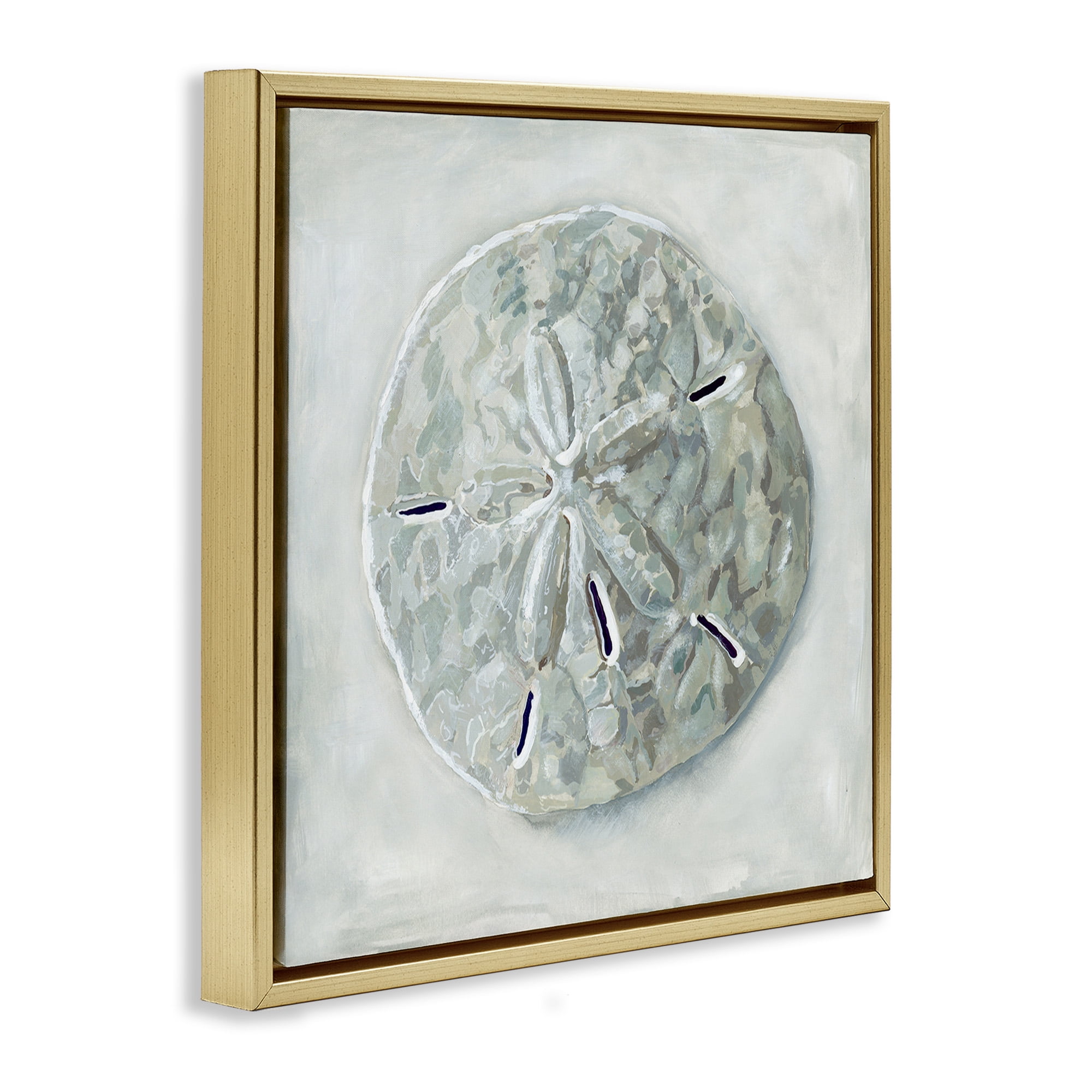 Stupell Industries Grey Sand Dollar Seashell Nature Painting Gold Floater Framed Canvas Art Print Wall Art, 18 x 18