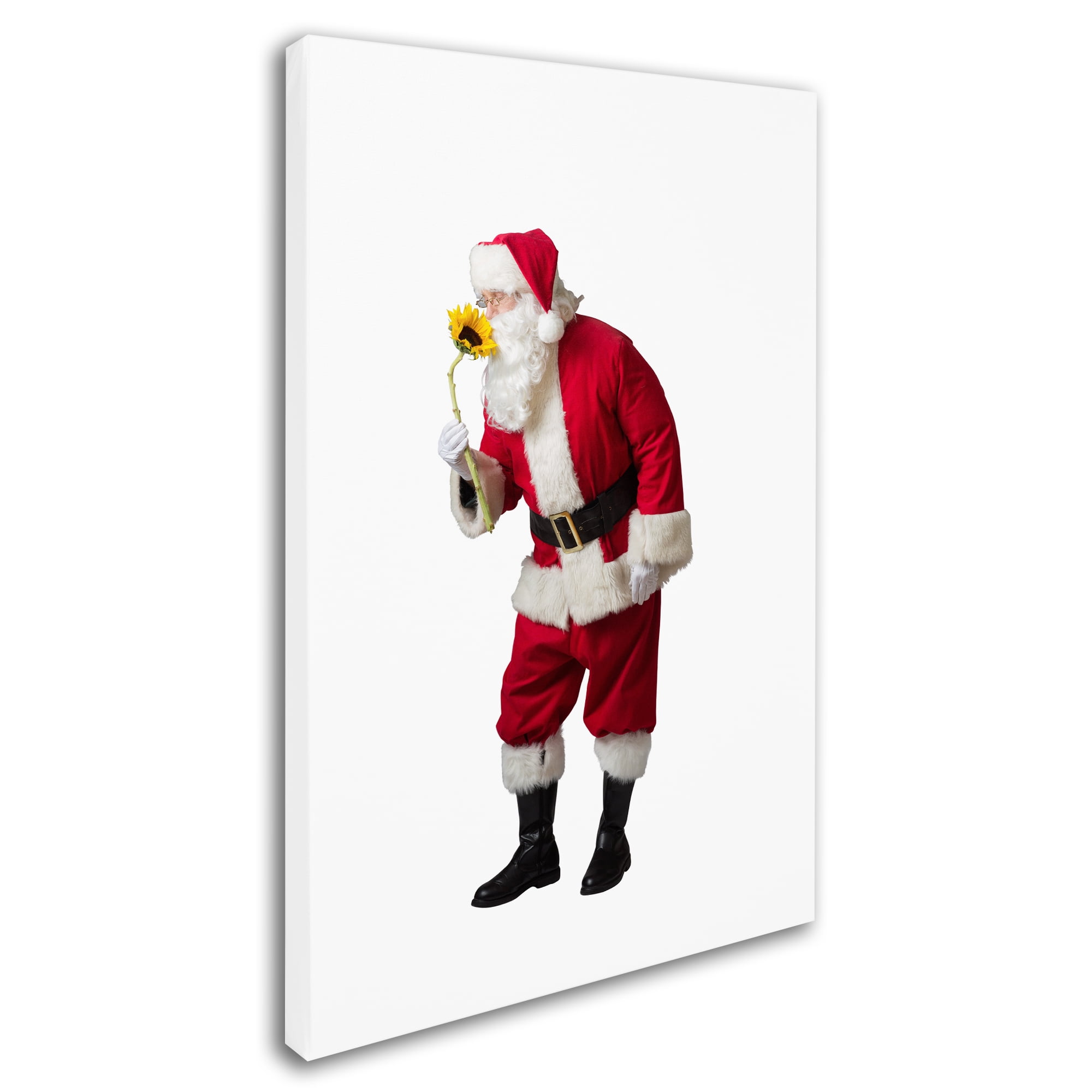 Trademark Fine Art 'Santa-sunflower-12106' Canvas Art by Ed Wheeler