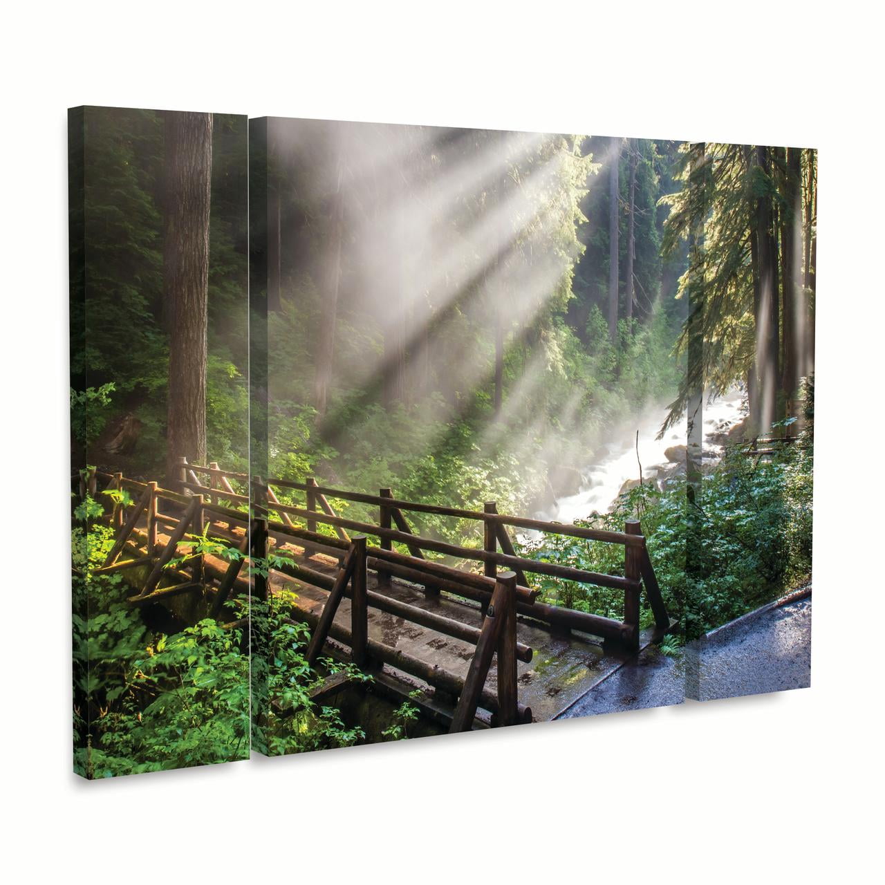 Trademark Fine Art 'Forest Sunlight' Canvas Art by Pierre Leclerc