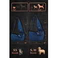 thumbnail image 4 of Correa acolchada de mezclilla NOAH & PAW para perros, 1,5 a 4,5 kg, 4 of 9