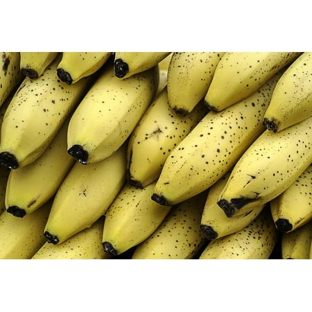 Canvas Print Fruit Bananas Desserts Healthy Tropical Yellow Stretched Canvas 10 x