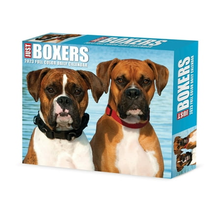 UPC: 0709786073696 | Boxers 2023 Box Calendar
