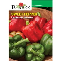 Burpee California Wonder Sweet Pepper Vegetable Seed, 1-Pack