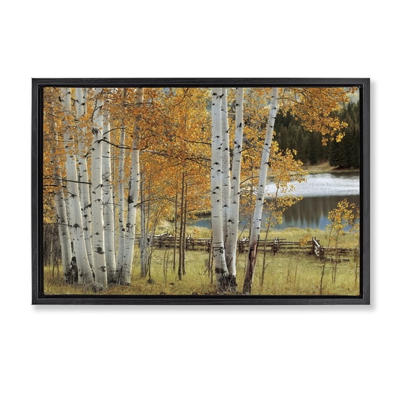 Stupell Industries Rustic Lodge Autumnal Birch Beauty Black Floating Frame Canvas Art, 25 x 17, by Mike Jones