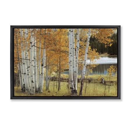 Stupell Industries Autumnal Birch Beauty Black Framed Floater Canvas Wall Art design by Mike Jones  17 x 25