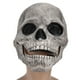 thumbnail image 1 of Máscara de cosplay, máscara de calavera de Halloween, máscara de disfraz completo, máscara de látex, diseño elevado, 1 of 8