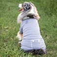 thumbnail image 3 of Midlee Grey Dog Pajamas (XXX-Large), 3 of 3