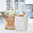 thumbnail image 5 of Belle Aroma®No-Mess Fragrance Tarts® - Peaches & Cream, 6 count, 1 Pack, 5 of 5