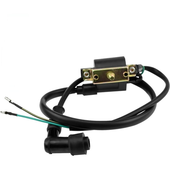 Ignition Coil for Coolster 125cc 110cc 90cc 70cc 50cc Taotao DB10 Cheetah Roketa Baja Kazuma Meerkat 50 Falcon 90 Apollo DB21 Chinese Kids ATV Quad 4 Wheeler Dirt Bike