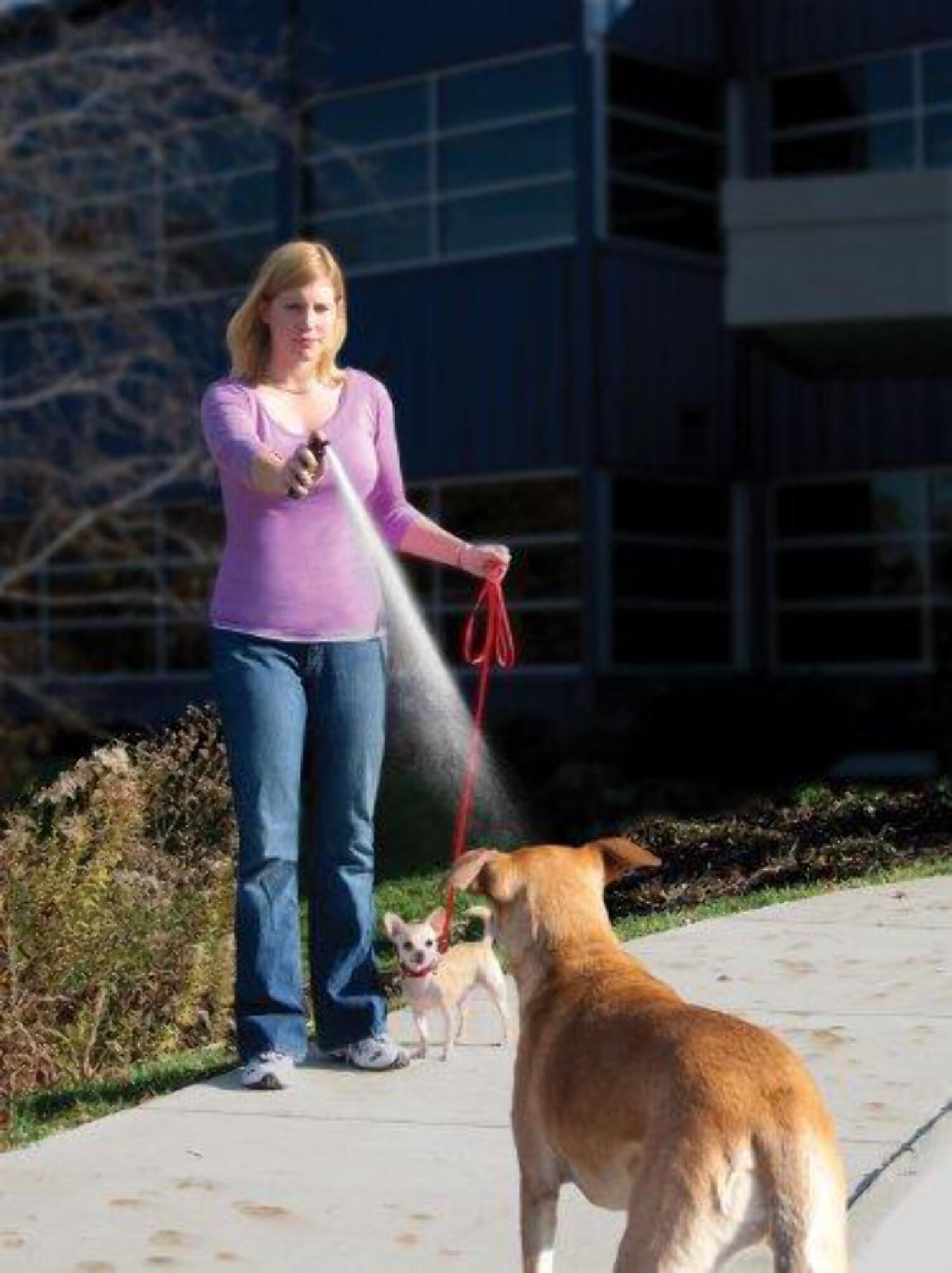 What Is Halt Dog Repellent