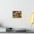 thumbnail image 4 of African Tree Pangolin Hanging On The Tree Staring African Tree Pangolin Outdoor Wall Art Ready To Hang Unframed, 4 of 7