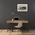 thumbnail image 3 of Illg, Cathy and Gordon 32x23 White Modern Wood Framed Museum Art Print Titled - Sea Lion Island Rockhopper penguins resting, 3 of 4