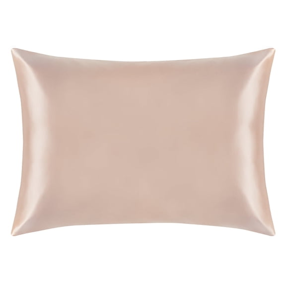 Ntbay 1 Pack 100% Mulberry Silk Queen Pillowcase with Hidden Zipper, Luxurious Both Side 19 Momme Pillow Case, 20" x 30", Light Plum