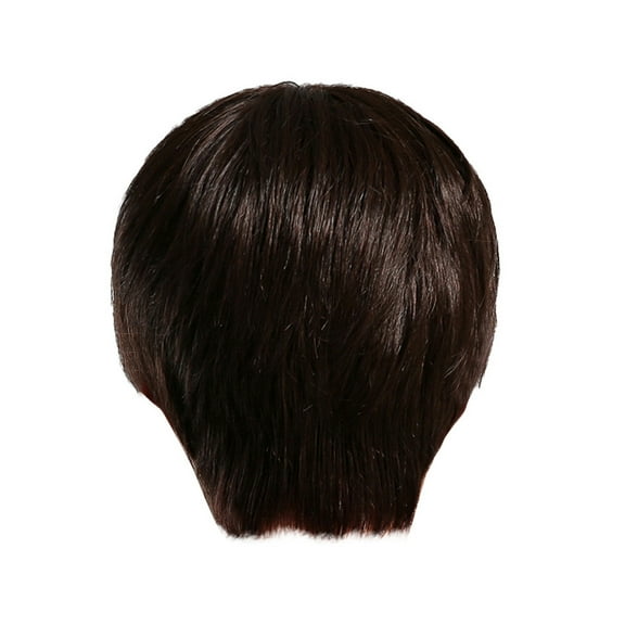 Beauty Under $15 Men'S Wig Handsome Fashion Gentlemen Straight Front Wigs For Daily Party Brown